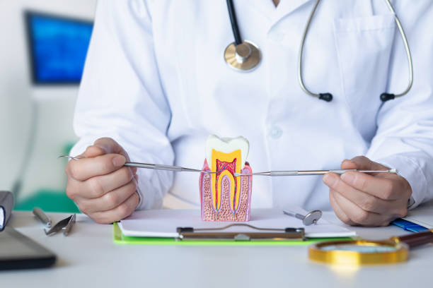 Best Weekend Emergency Dentist in Mount Olive, IL